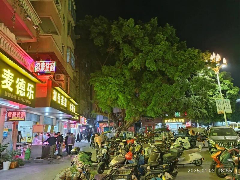 麻涌大盛村下午五点多到了小巷子